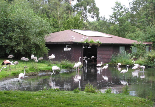 Stopped overnight near Ormskirk and went to Martin Mere Wildfoul centre on the Sunday
