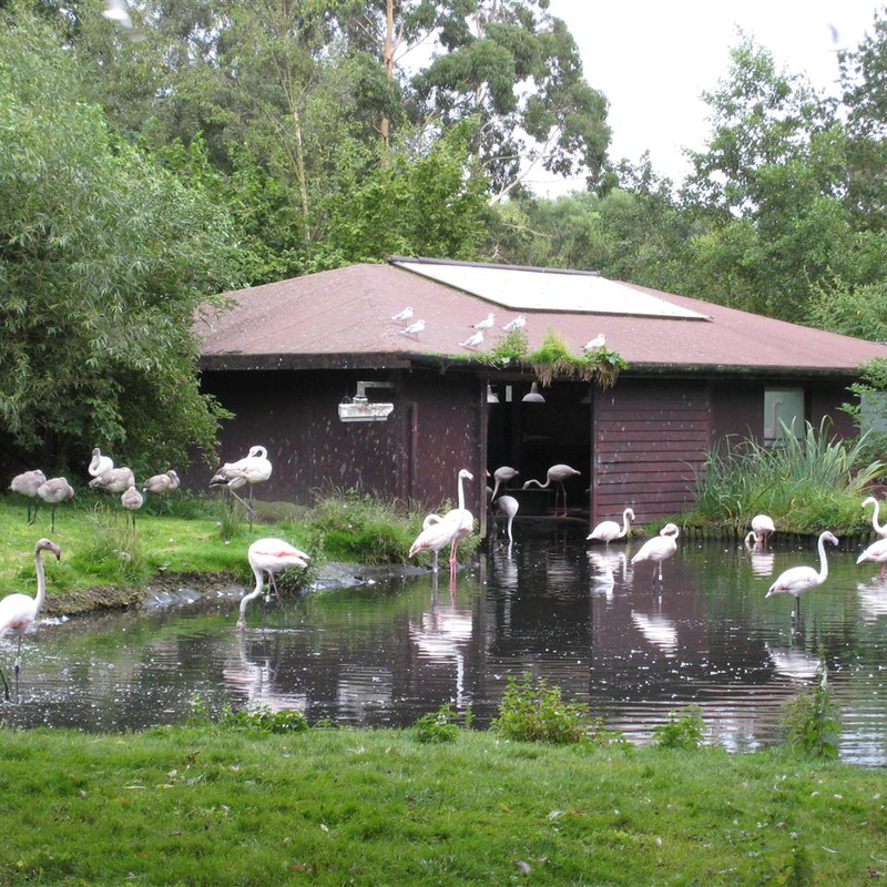 Stopped overnight near Ormskirk and went to Martin Mere Wildfoul centre on the Sunday