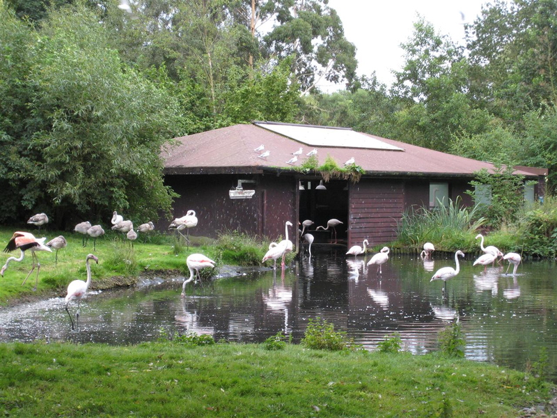 Stopped overnight near Ormskirk and went to Martin Mere Wildfoul centre on the Sunday
