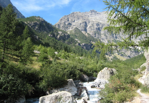 IMG_0038.JPG