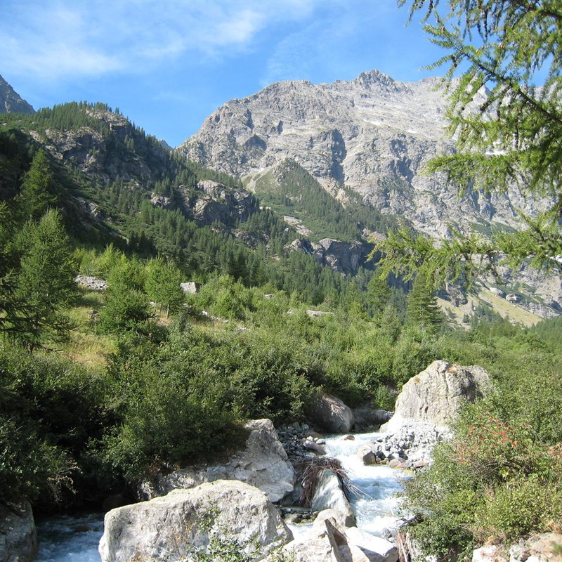 IMG_0038.JPG