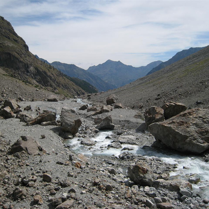 IMG_0054.JPG