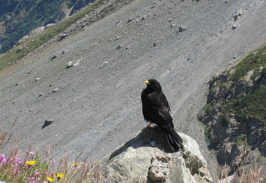 IMG_0078.JPG