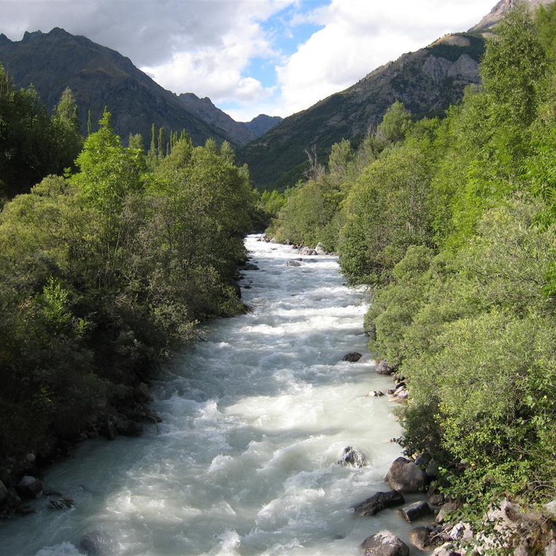 IMG_0136.JPG