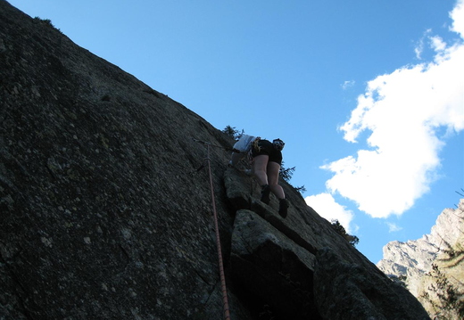 Lucy climbing