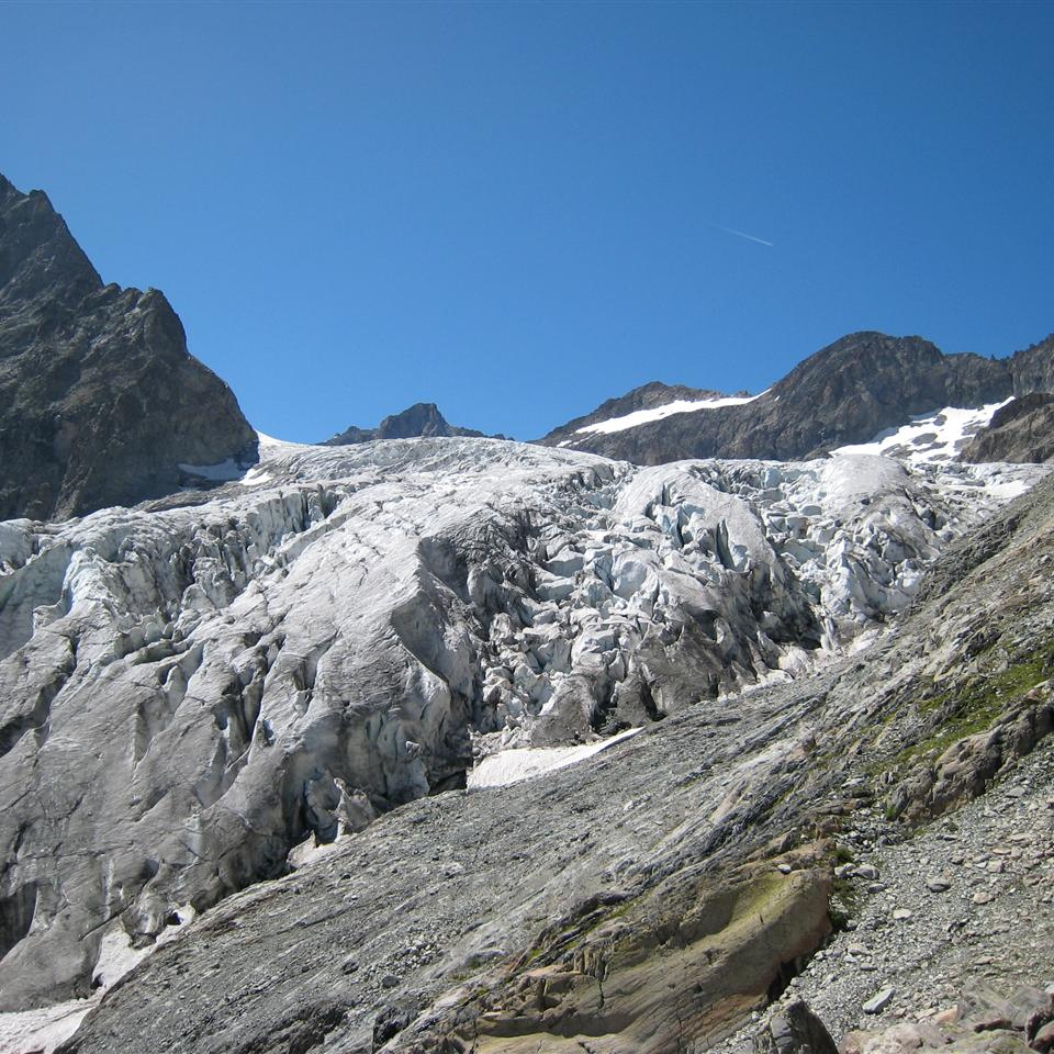 IMG_0254.JPG