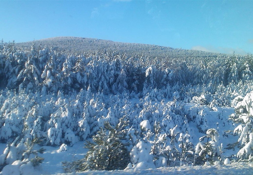 DSC_0075.jpg