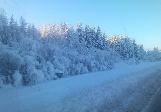DSC_0095.jpg