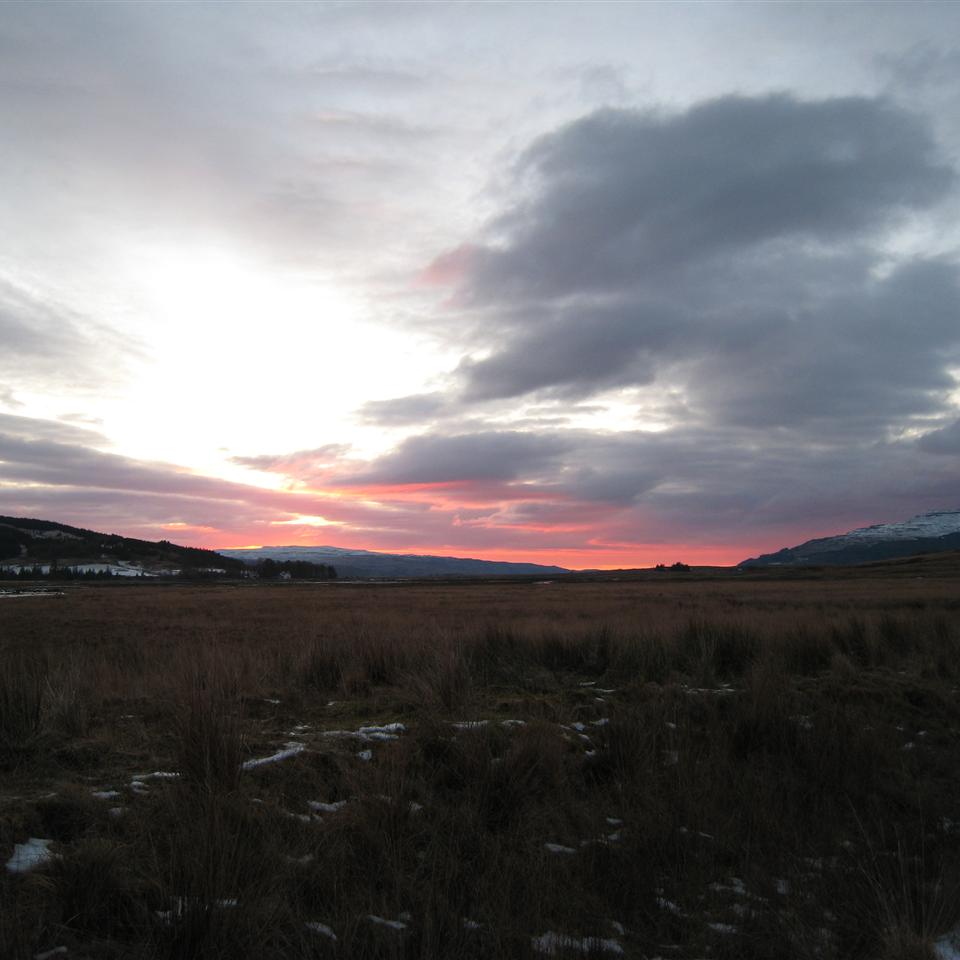 Red Skies