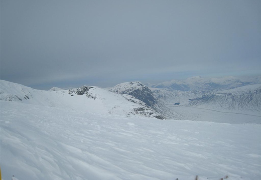 IMG_2303 (Large).JPG