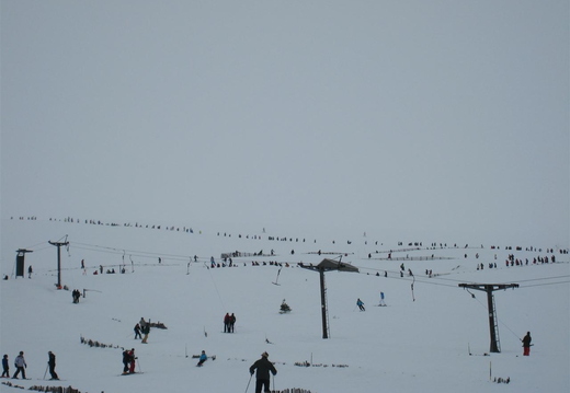 Line of kilties