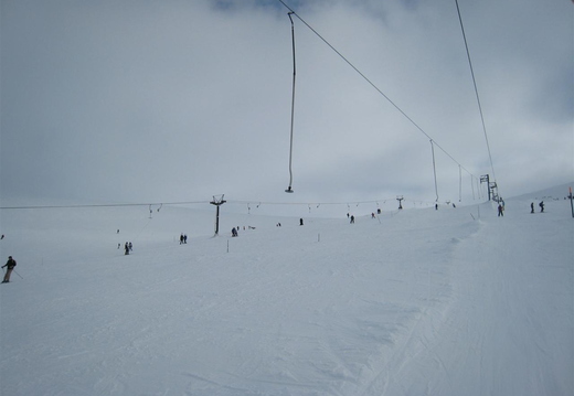 Ciste T-Bar from WWP
