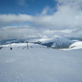 Ciste Bowl
