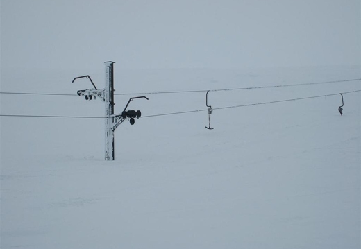 Burried Ptarmigan tow!