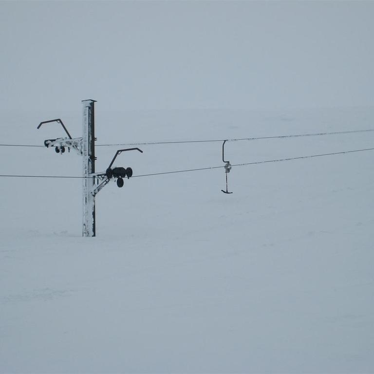 Burried Ptarmigan tow!