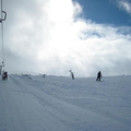 Ciste T-Bar
