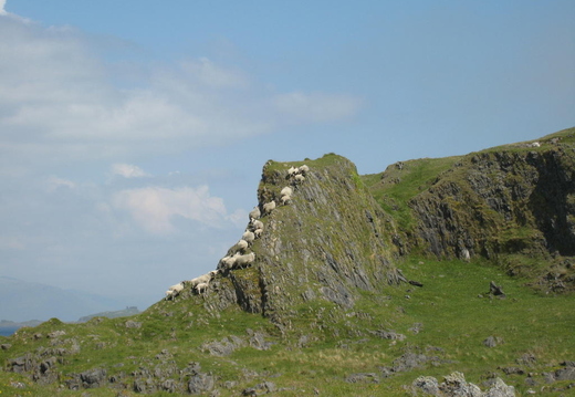 Mountaineers
