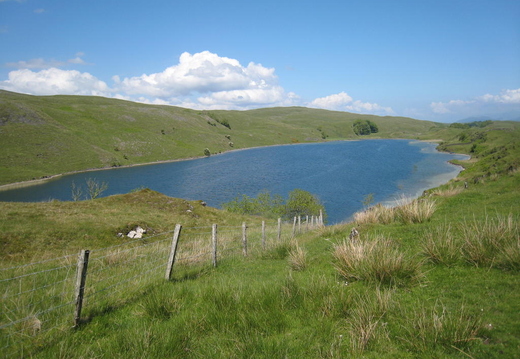 Wee Lochan