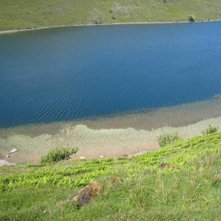 Crystal Clear