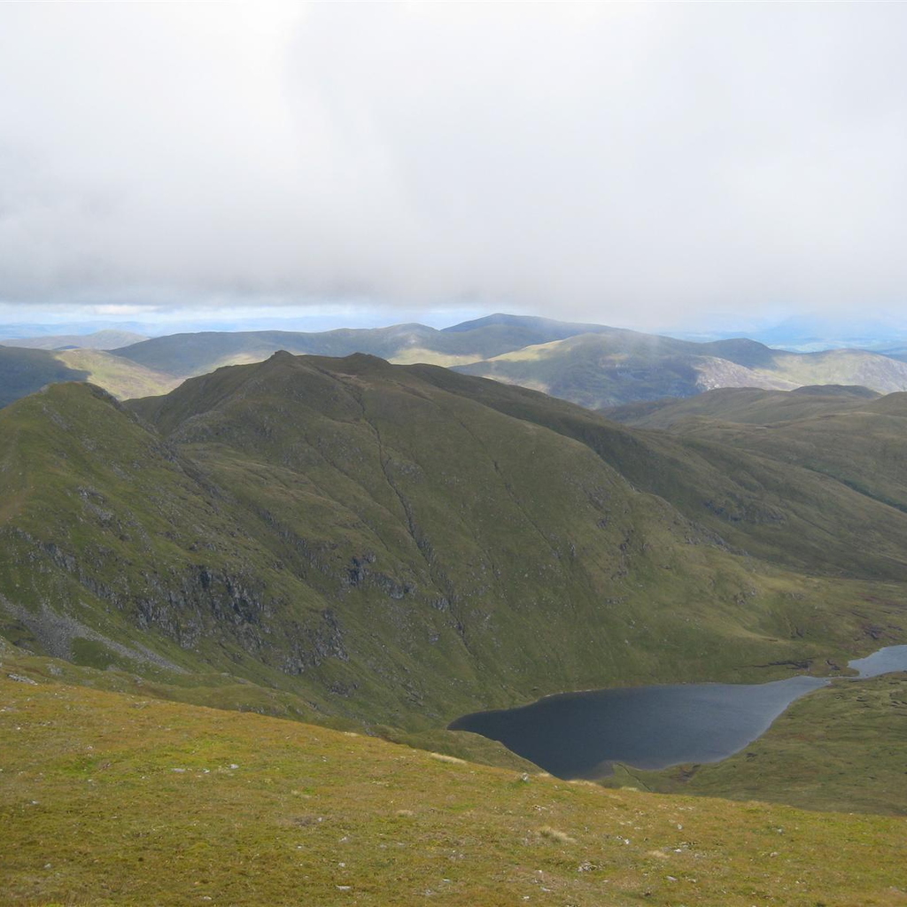 View over the back