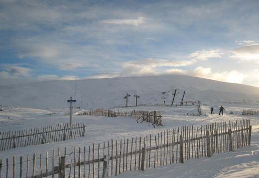 Looking towards top sunnyside poma from chair