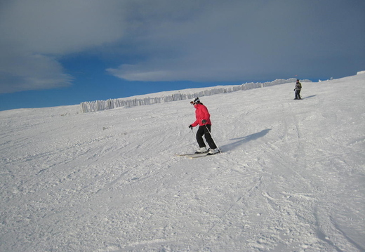 Abby Coming down butcharts run