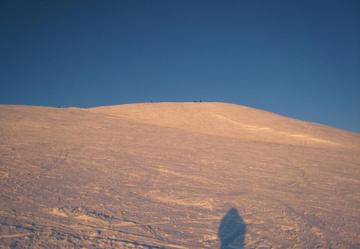Orange Snow