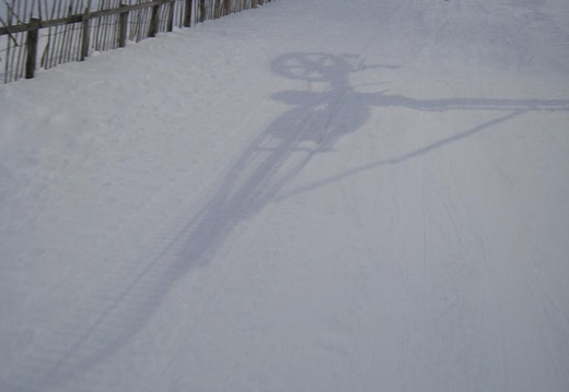 Poma Shadows