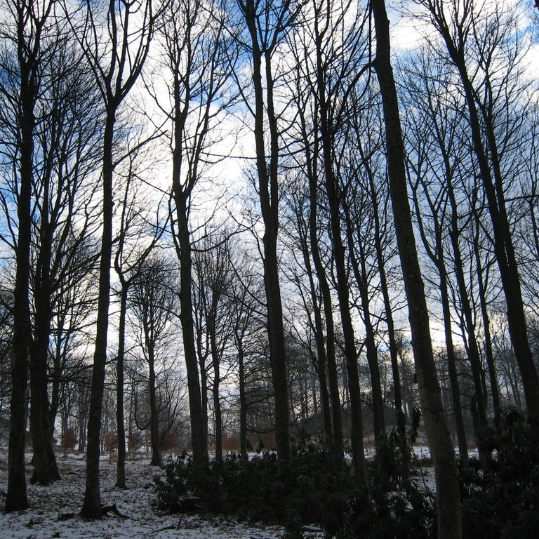 IMG_4060.JPG
