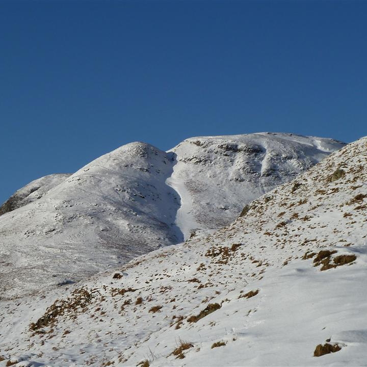 Big Torry From Access Track