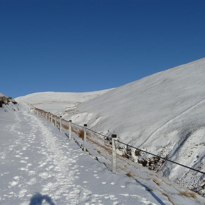 New Fence?