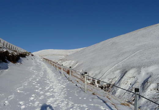 New Fence?