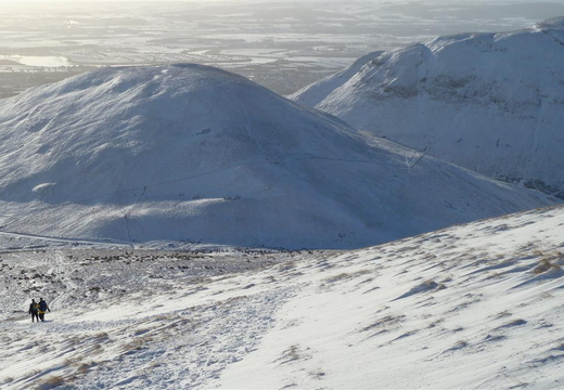 Walkers Headed Down