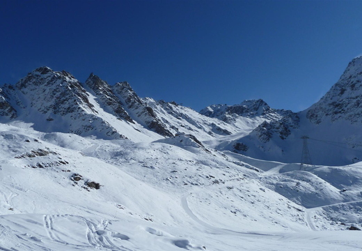 P1000423.JPG