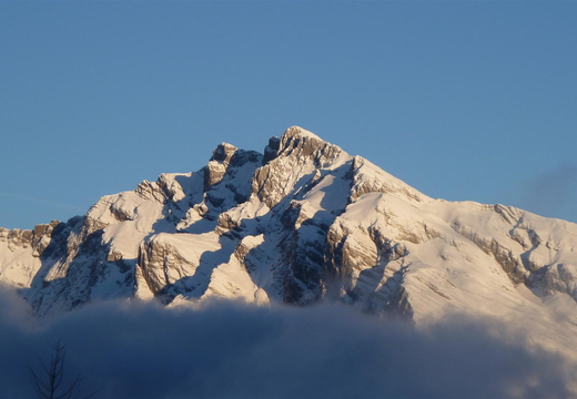 P1000474.JPG