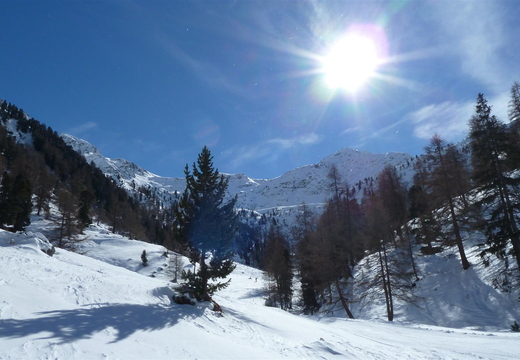 Looking back up Vallon d'Arby