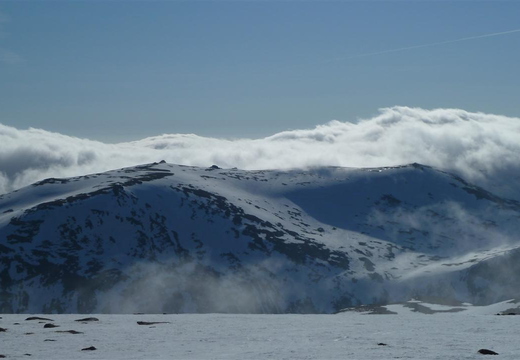 P1000507.JPG