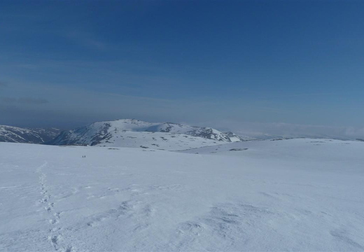 P1000522.JPG