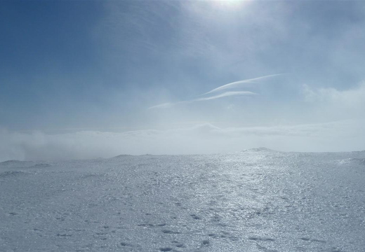 Ice!