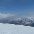 P1000557.JPG