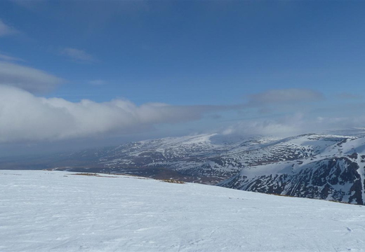 P1000557.JPG