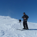 Bluebird