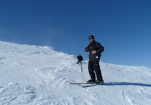 Bluebird