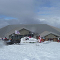 Ptarmigan