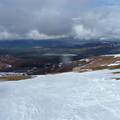 Top of Lady
