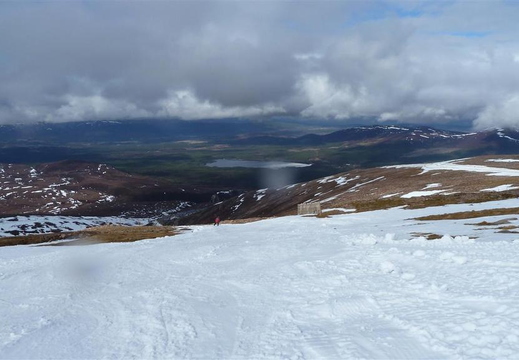 Top of Lady