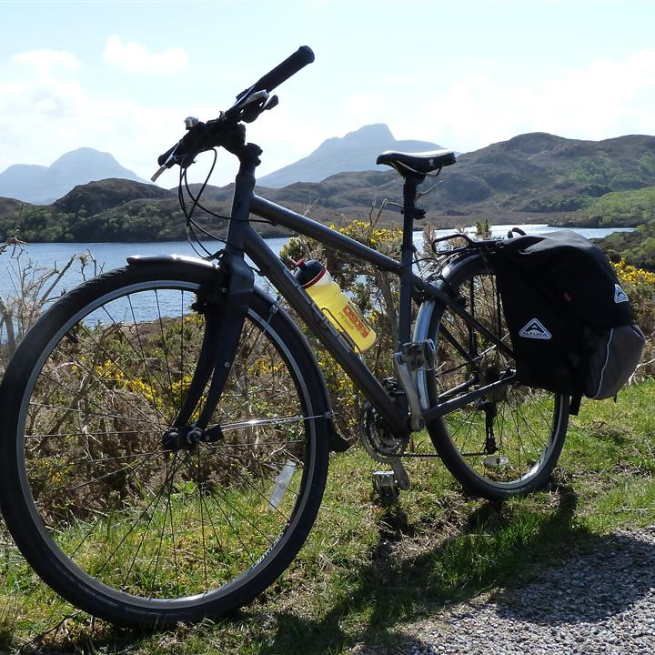 Steed