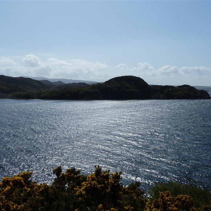 P1010233.JPG