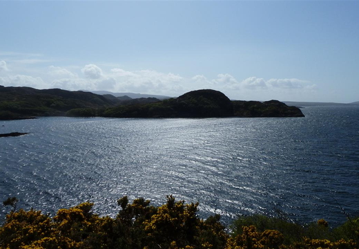 P1010233.JPG