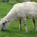 P1020156.JPG